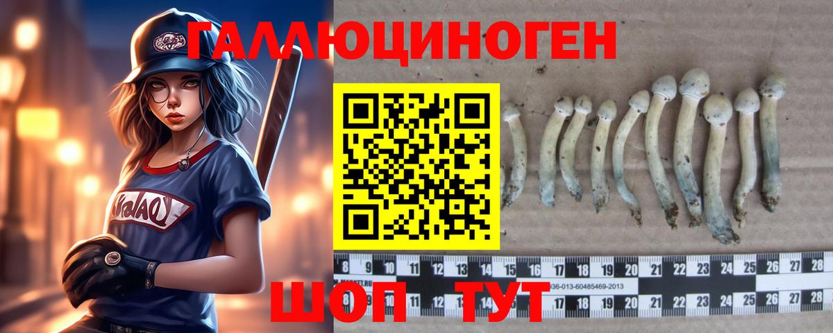 Галлюциногенные грибы GOLDEN TEACHER Еманжелинск